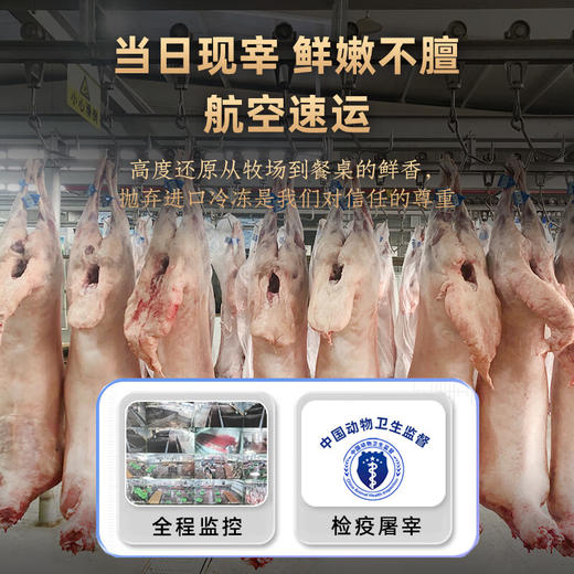 【盐池滩羊】8斤装 礼盒款 （羊排1kg+羊腱子1kg+后腿纯肉 1kg+羊蝎子1kg）正宗宁夏盐池滩羊 商品图8