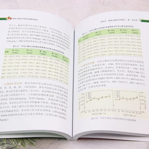 矮化自根砧苹果高效栽培技术【官方正版，可开发票，下单时留开票信息和电子邮箱】 商品图4