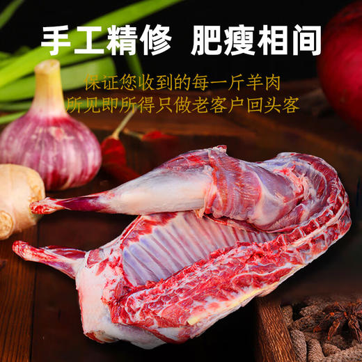 【盐池滩羊】新鲜现杀羊腿肉整只羔羊排肋排原切全羊 正宗宁夏盐池滩羊 半只 礼盒款 16斤 商品图5