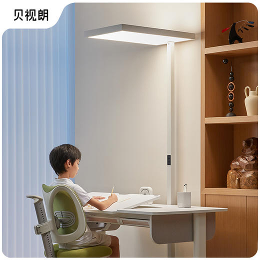 寰宇落地灯 商品图0