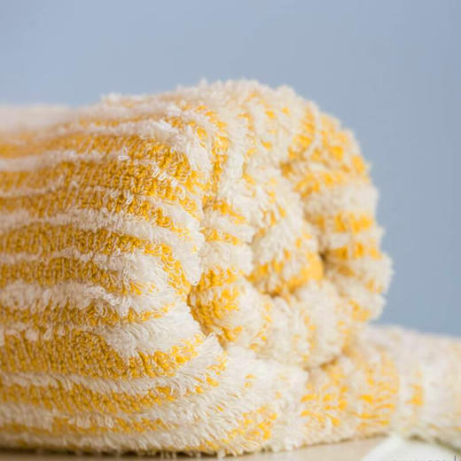 【6F】爱比丝埃及棉毛巾纯棉葡萄牙Abyss COZI 爱比丝 面巾干发巾 多款多色30*30cm 商品图1