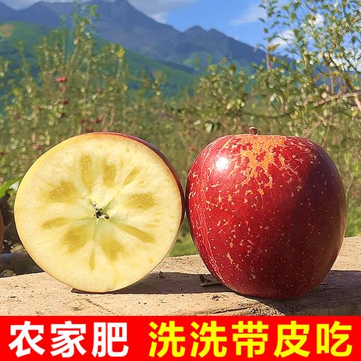 四川大凉山红露丑苹果 脆甜苹果当季水果 新鲜采摘 脆甜多汁 商品图4