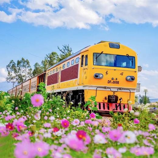 寒假亲子 | 拾色滇东南6天5晚 商品图5