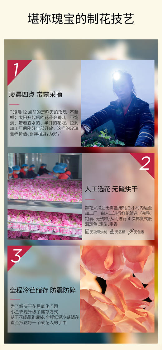 天地盖花茶小金山玫瑰 礼盒 商品图9