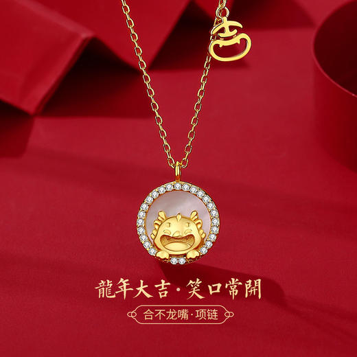 玖钻新款爆款原创生肖龙项链女轻奢小众红玛瑙吊坠本命年礼物 商品图0