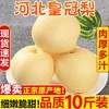 【细嫩脆甜！河北皇冠梨】现摘现发皇冠梨5斤10斤新鲜水果皇冠当季雪花梨鸭梨红香梨早酥梨梨子-觅食坊 商品缩略图0