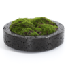 城喧客厅花艺树脂花盆+仿真青苔 商品缩略图0