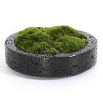 城喧客厅花艺树脂花盆+仿真青苔 商品图0