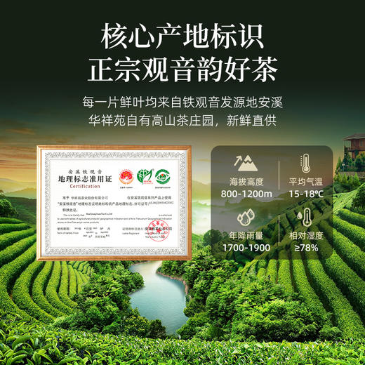 华祥苑-330g迎宾庄园茶清香铁观音 商品图5