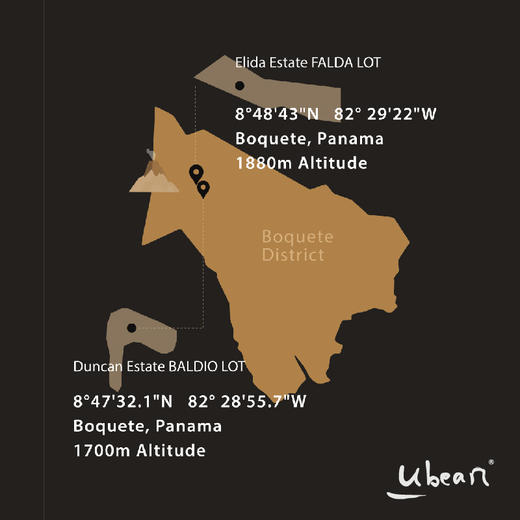 有豆Ubean瑰夏咖啡豆 商品图13