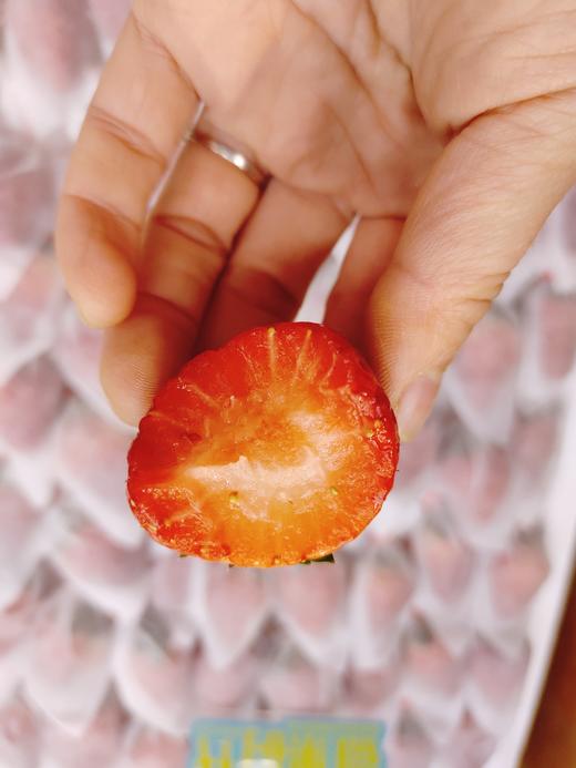 无菌草莓一斤 商品图0