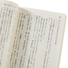 预售 【中商原版】悲痛伝 講談社文庫 日文原版 悲痛传 西尾维新 传说系列 日本文学小说 商品缩略图3