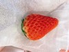 无菌草莓一斤 商品缩略图1
