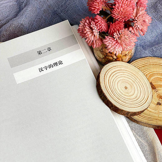 中国文字学手册 中国文字发展史简明版本 臧克和 精装 商品图8