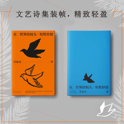 李银河：在世界的枝头短暂停留 商品图4