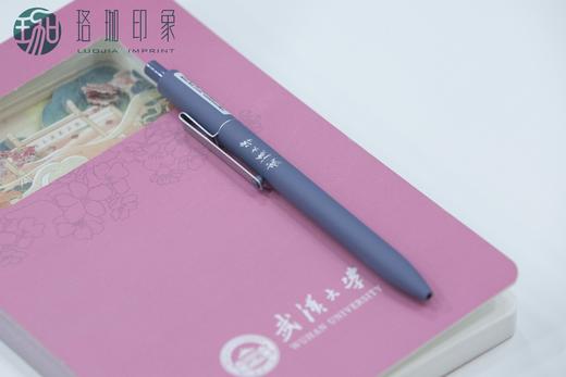 磨砂按压签字笔 商品图4