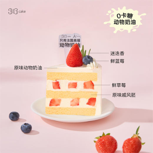 迷你多肉草莓蛋糕，可选4英寸（s）0kt-59分钟送达 商品图3