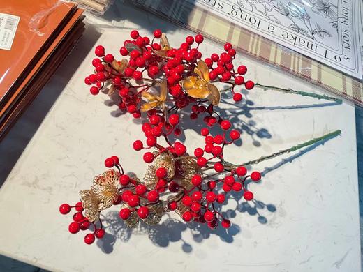 半成品冬青+金叶子（买十送一） 商品图0