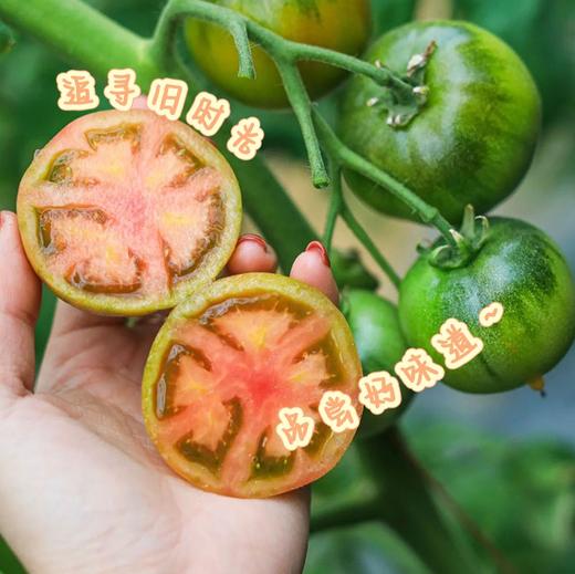 童味草莓西红柿 追寻旧时光 品尝好味道 餐桌上的儿时味道 商品图1