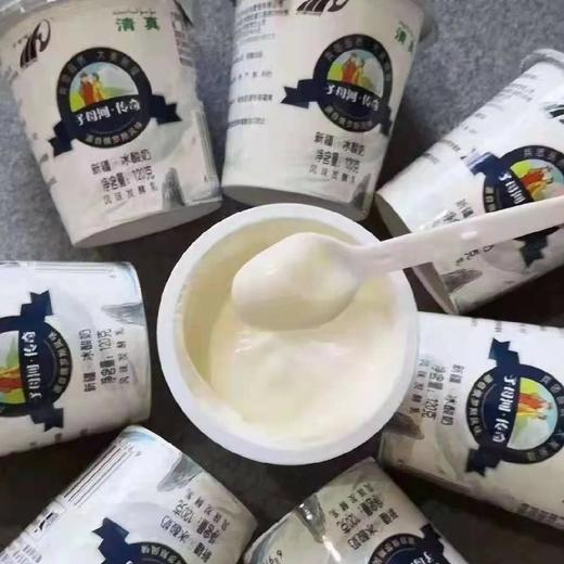 新疆子母河冰酸奶【120克*12杯】 商品图0