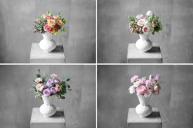 玫瑰小镇 Rose Town