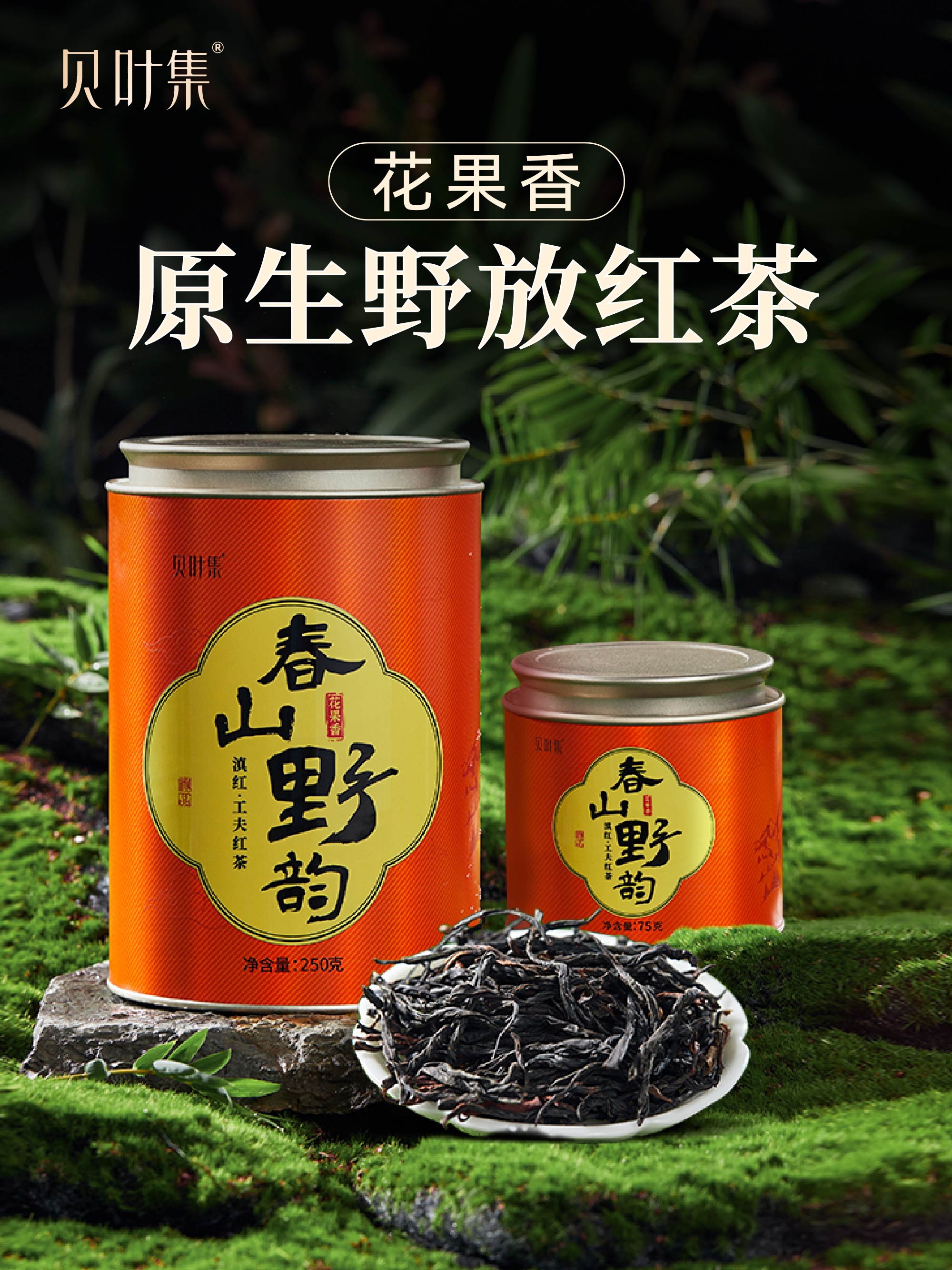 【2026年10月效期 特价清仓】云南滇红古树茶叶花果香清甜高档送礼春山野韵罐装