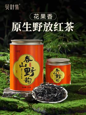 【2026年10月效期 特价清仓】云南滇红古树茶叶花果香清甜高档送礼春山野韵罐装