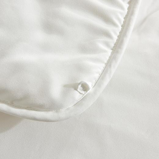 莱特A类抗J亲肤加厚冬被100%聚酯纤维 商品图5