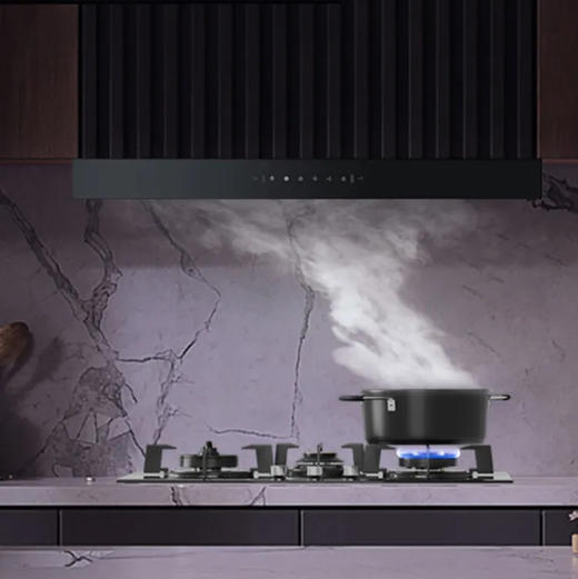 卡萨帝（Casarte）烟机 CXW-219-CGT90BG 商品图5