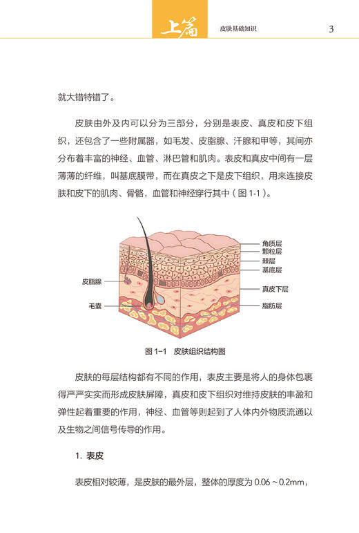 好皮肤养出来 国医大师禤国维教你有效处理皮肤问题 李红毅 梁家芬 跟国医大师学养生系列 护肤技巧 人民卫生出版社9787117355285 商品图3