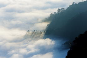 11.25\12.16确定出发【湖南】莽山4天摄影采风之旅