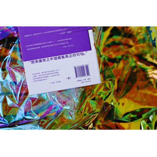 两位严肃女士（美）简·鲍尔斯 著 商品图3