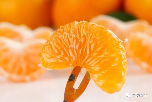 柑橘天花板！米其林三星同款浙江临海涌泉蜜桔 超好吃！ 商品图3
