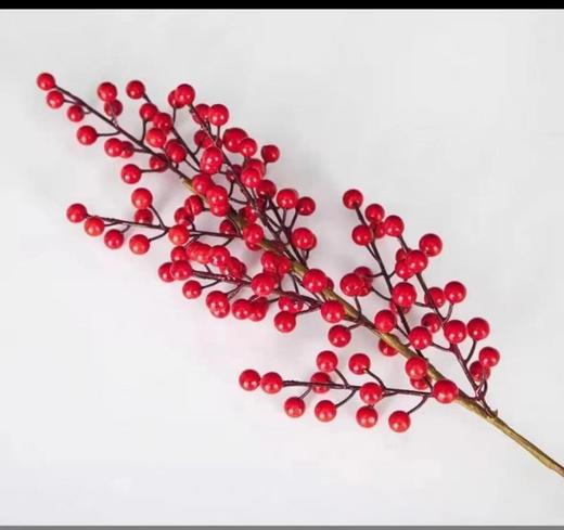 【年宵花热卖】仿真大果红冬青/大果1.4mm/单叉12果/6叉/9叉/11叉/12叉 商品图7