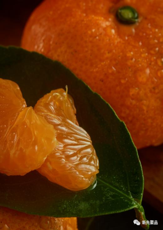 柑橘天花板！米其林三星同款浙江临海涌泉蜜桔 超好吃！ 商品图1