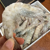 真正海捕大虾🍤顺丰冷链到家！青岛大虾 饱满又鲜嫩！虾体通透个大体肥，虾肉紧致Q弹（毛重四斤） 商品缩略图7