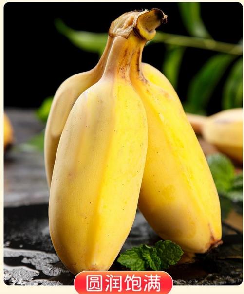 【海南热带水果】海南芭蕉产地发货5斤（4个左右/斤）  顺丰/京东随机发货 商品图2