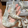 真正海捕大虾🍤顺丰冷链到家！青岛大虾 饱满又鲜嫩！虾体通透个大体肥，虾肉紧致Q弹（毛重四斤） 商品缩略图10