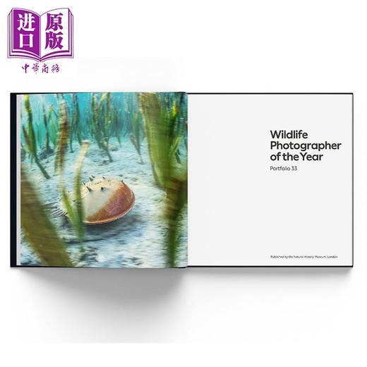 【中商原版】Wildlife Photographer of the Year: Portfolio 33 进口艺术 年度野生动物摄影师：作品集 第9卷  商品图4