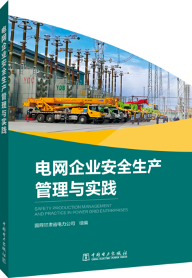 电网企业安全生产管理与实践