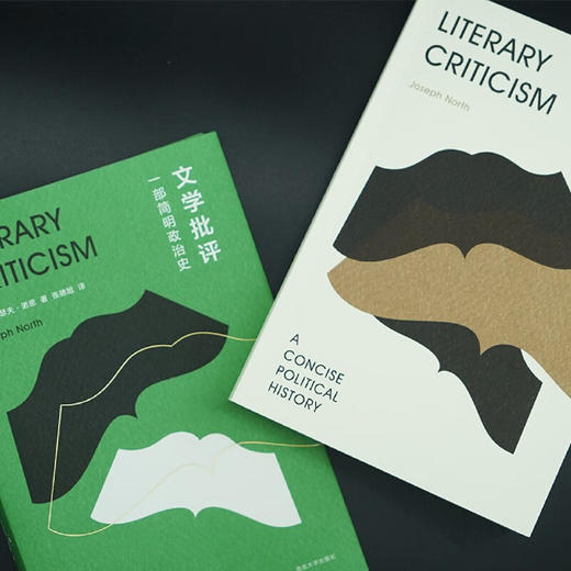 文学批评 一部简明政治史（美）约瑟夫·诺思 著 商品图1