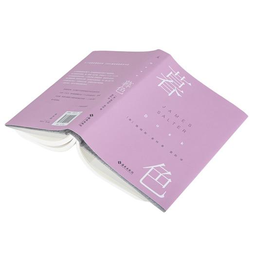 暮色（美）詹姆斯·索特 著 商品图3