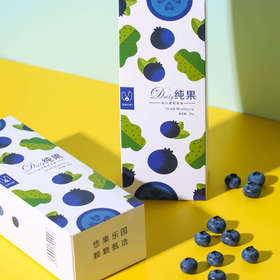 丰富花青素 有机蓝莓果干