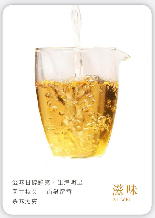 凤凰单丛 | 宋茶荟 2024年春茶  凤凰单枞 八仙50G/罐 商品图2