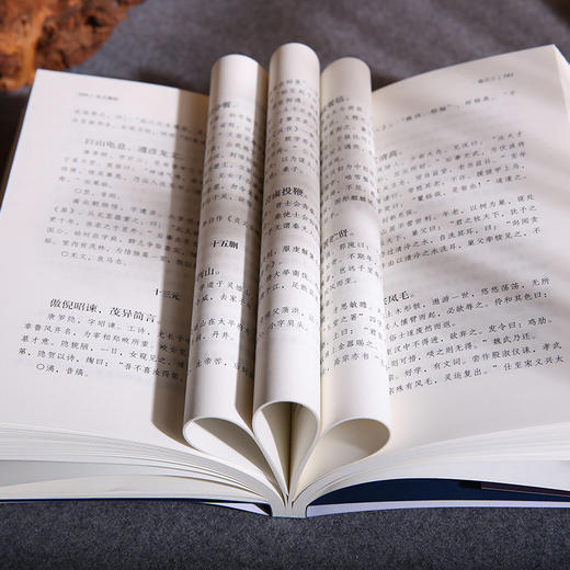 谦德国学文库 龙文鞭影（新版） 商品图5