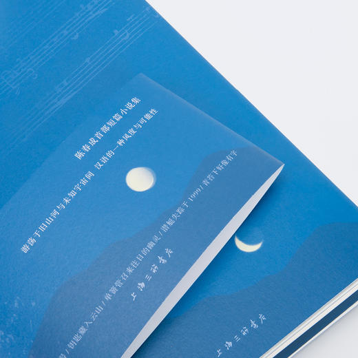 夜晚的潜水艇 陈春成首部短篇小说集 商品图3