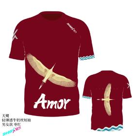 天鹭超轻速干透气马拉松跑步户外越野运动短袖男