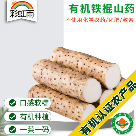彩虹雨 北京 新鲜蔬菜 有机铁棍山药500g 京津冀满百包邮 商品图0
