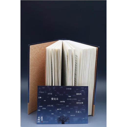 星空与半棵树 陈彦 著 商品图2