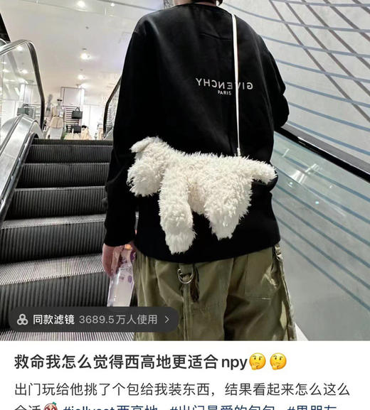 朴彩英同款西高地狗狗包 商品图2